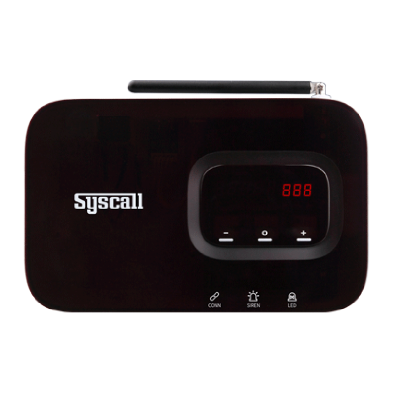 Syscall repeater
